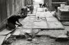 Arles-dalles-ciment-02.jpg