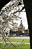Dresden-38.jpg