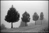 brouillard-1.jpg