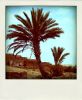 0510_Maroc_070-pola600.jpg