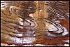Petra-2011-sable-03.jpg