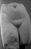 VenusFace.jpg