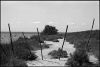 camargue02.jpg