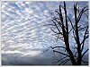 26022703OLY.JPG