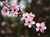26030101OLY.JPG