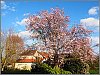 26030402OLY.JPG