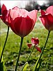 26040704OLY.JPG