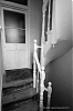 escalier-1221324.jpg