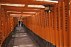 Fushimi-Inari_8.jpg