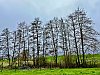 IMG_4696.jpg