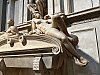 IMG_5023.jpg