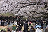 Japon_3~0.jpg