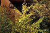 _MG_9029~0.jpg