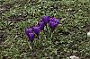 _MG_9317_DxO.jpg