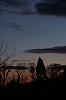_MG_9334_DxO~0.jpg