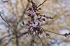 _MG_9358_DxO.jpg