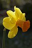 _MG_9527_DxO.jpg