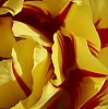 _MG_9531_1_DxO.jpg