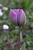_MG_9534_DxO.jpg