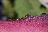 _MG_9543_DxO~0.jpg