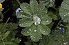 _MG_9586_DxO.jpg