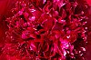 _MG_9616_DxO.jpg