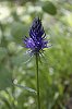 _MG_9693_DxO.jpg