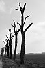DSCF0518.jpg