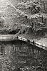 DSCF3124.jpg
