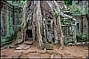 Angkor05.jpg