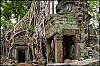 Angkor13.jpg