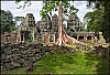 Angkor14.jpg