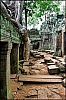 Angkor18.jpg