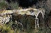 2019-DSCF8541-Gorges-du-Caramy---Pont-romain-ou-roman.jpg