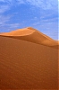 Dune-Arabie-Pirate.jpg