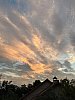 IMG_6247.jpg
