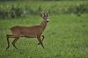 JZ8_4916_860px.jpg